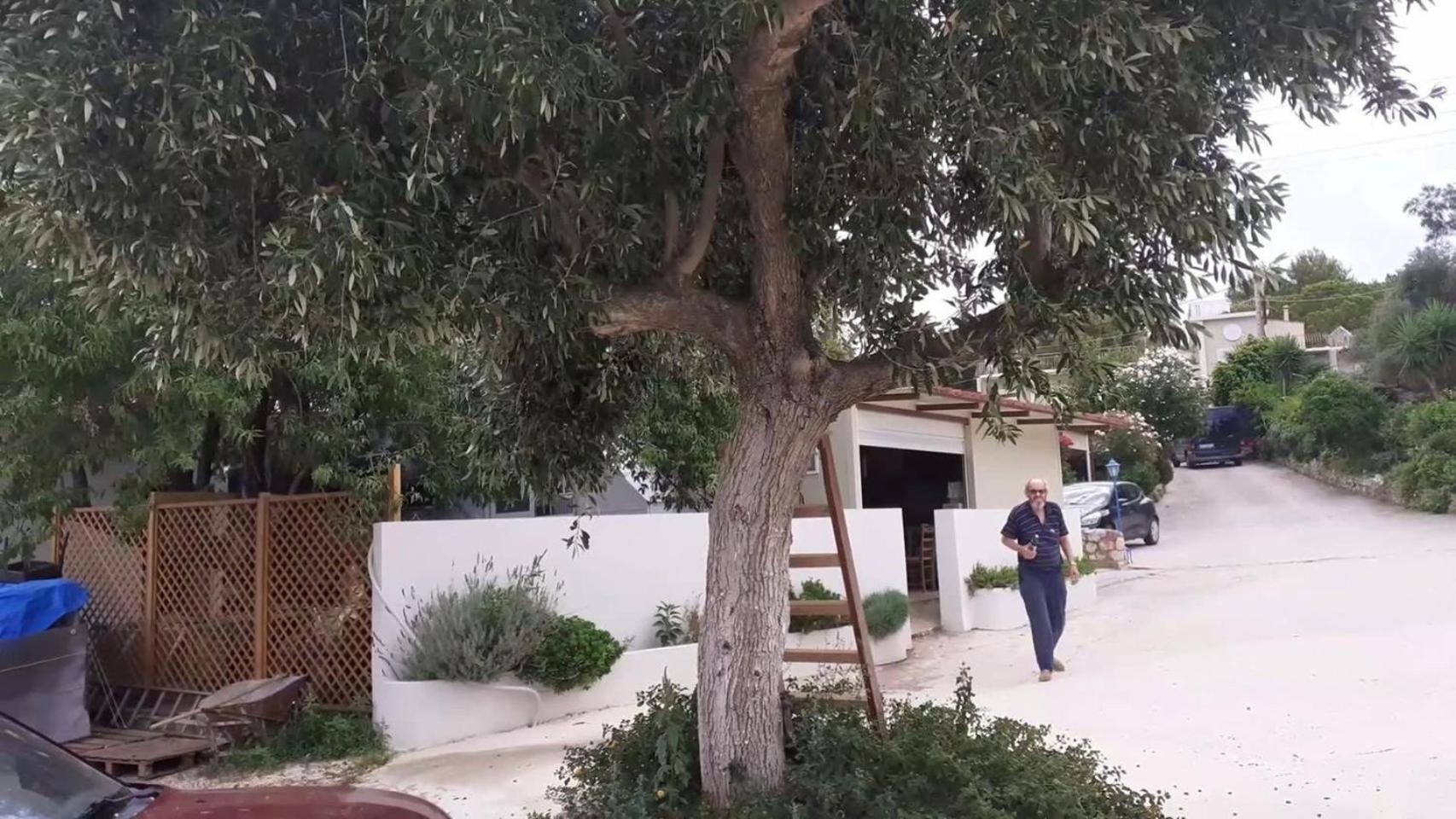 Tzogias Apartments Nonna Studio Lassi  Zewnętrze zdjęcie